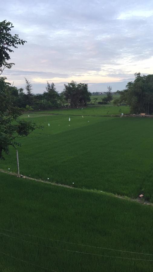 Bi'S House Homestay Hoi An Bagian luar foto